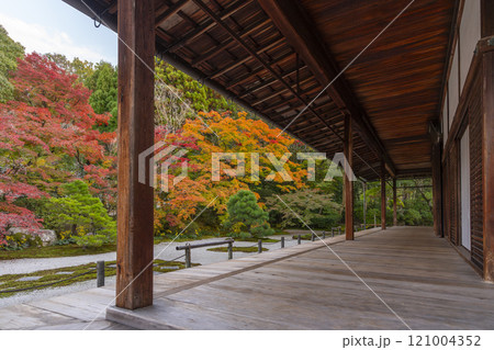 秋の京都　南禅寺天授庵　紅葉に包まれた東庭 121004352