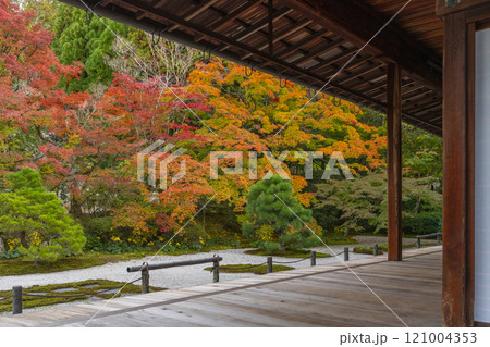秋の京都　南禅寺天授庵　紅葉に包まれた東庭 121004353