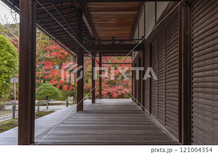 秋の京都　南禅寺天授庵　紅葉に包まれた東庭 121004354
