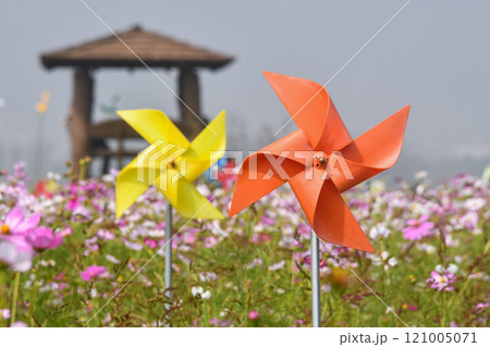 Windmill in Cosmos Field 121005071