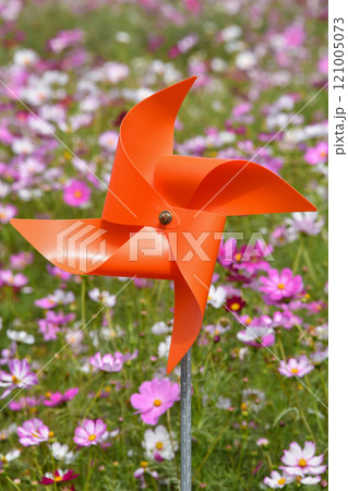 Windmill in Cosmos Field 121005073