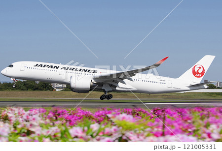 JAL350-900伊丹アブローチ 121005331