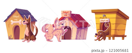 Adopt dog companion in shelter. Homeless stray pet 121005681