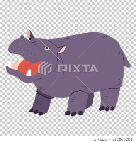Hippopotamus Hippopotamus 121006201