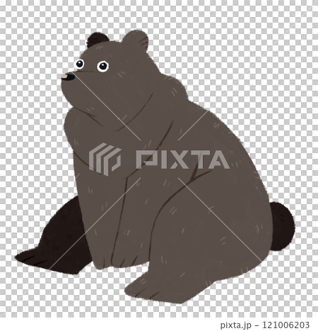 一隻熊 一隻熊 121006203