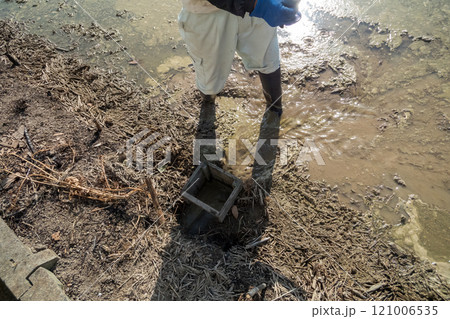 rice-planting 121006535