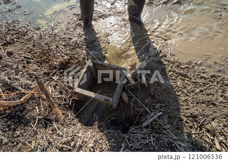 rice-planting 121006536