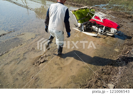 rice-planting 121006543