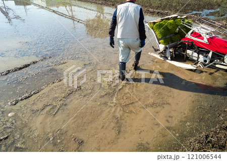rice-planting 121006544