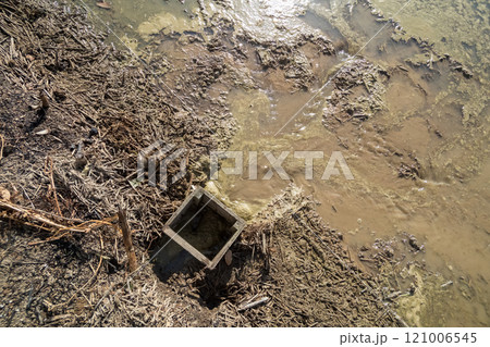 rice-planting 121006545