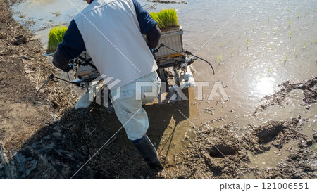 rice-planting 121006551