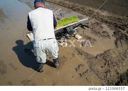 rice-planting 121006557