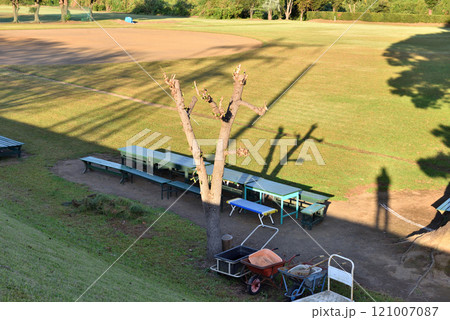 平塚河川敷公園野球場に西日が映しだす人の影 平塚河川敷公園野球場に西日が映しだす人の影 121007087