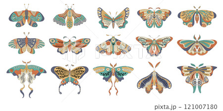 Decorative butterfly. Authentic boho design for butterfly wings recent vector fairytale collection 121007180