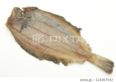 干物 ナメタガレイ 干物 ナメタガレイ 121007542