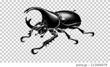 酷甲蟲 酷甲蟲 121008079