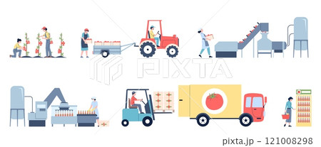 Tomato ketchup production. Tomatoes from bush to manufacture, fresh sauce production. Harvesting and transportation vegetables process, recent vector scenes 121008298