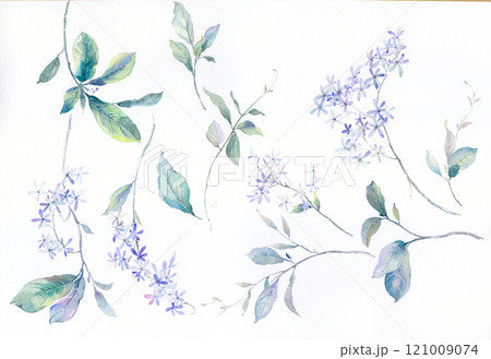 Creative Floral Illustrations with Hand Painted Details 121009074