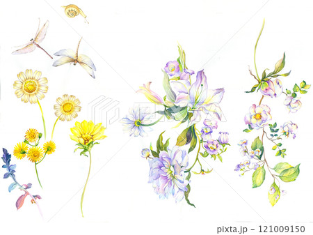 Inspiring Watercolor and Oil Art of Curly and Flowers Inspiring Watercolor and Oil Art of Curly and Flowers 121009150