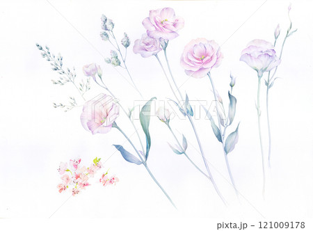 Inspiring Watercolor and Oil Art of Curly and Flowers Inspiring Watercolor and Oil Art of Curly and Flowers 121009178