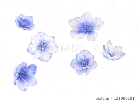 Inspiring Watercolor and Oil Art of Curly and Flowers 121009181