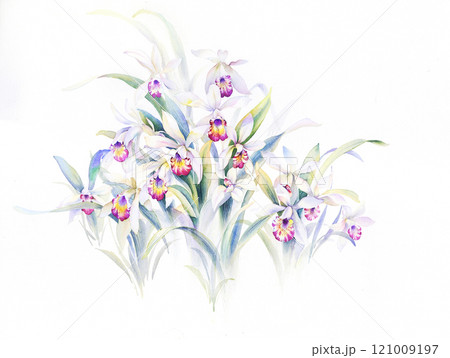 Inspiring Watercolor and Oil Art of Curly and Flowers 121009197