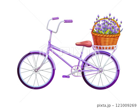 Cartoon purple bicycle featuring a wicker basket filled with fresh lavender flowers and comfortable seat for themes of relaxation, gardening, spring or summer, eco-friendly transportation and Provence 121009269