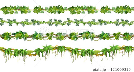 Tropical jungle forest liana seamless vine branches. Vector banner borders of exotic climbing plant liana garlands with green vines, branches and hanging stalks, ivy, wisteria and monstera leaves 121009319