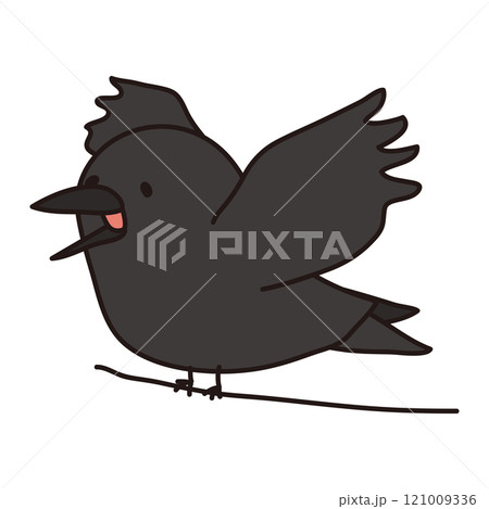 電線にとまって鳴くカラス 121009336