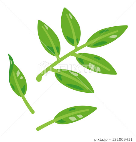 新緑の生茶葉 121009411