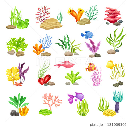 Colorful Sea Bed and Ocean Bottom with Algae and Stone Vector Set 121009503