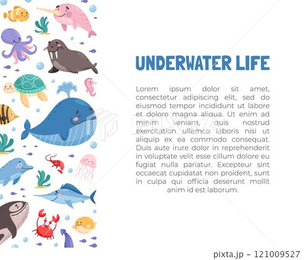 Sea Animal and Marine Underwater Swimming Creature Banner Design Vector Template Sea Animal and Marine Underwater Swimming Creature Banner Design Vector Template 121009527