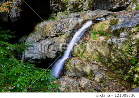 みたらい渓谷（奈良県・天川村） 121009536