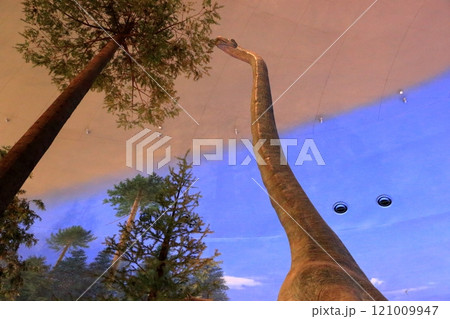 Exhibits in the Fukui Prectural Dinosaur Museum located in Katsuyama near Fukui Japan 121009947