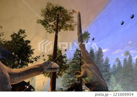 Exhibits in the Fukui Prectural Dinosaur Museum located in Katsuyama near Fukui Japan 121009954