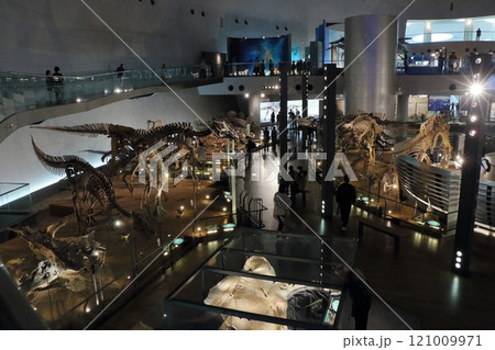 Exhibits in the Fukui Prectural Dinosaur Museum located in Katsuyama near Fukui Japan 121009971
