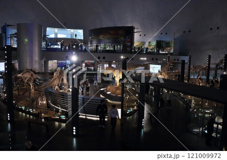 Exhibits in the Fukui Prectural Dinosaur Museum located in Katsuyama near Fukui Japan Exhibits in the Fukui Prectural Dinosaur Museum located in Katsuyama near Fukui Japan 121009972