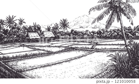 Rice Paddies Landscape Detailed Vintage Engraving Illustration on White Background with Intricate Texture Classic Agricultural Art Antique Style Scenic Farmland Graphic Nature 121010058