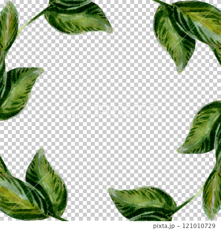 A leafy border with intricate botanical details. Foliage in soft green hues encircles the frame. Nature elegance captured in minimalist style. A vibrant design perfect for eco-themed projects 121010729