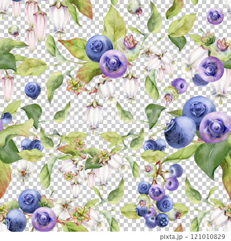 Blackberry blueberry with white bell flowers, green leaves, hand drawn in watercolor, forest berry on branches. Seamless pattern garland illustration for restaurant, cafe menu, wedding, farmers market 121010829