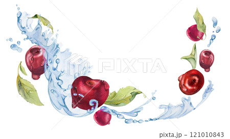 Sour sweet cherry cerise flying in water splashes drops, hand drawn in watercolor, ripe red garden berry and leaves. Isolated composition illustration. Restaurant cafe menu, farmers market, wedding Sour sweet cherry cerise flying in water splashes drops, hand drawn in watercolor, ripe red garden berry and leaves. Isolated composition illustration. Restaurant cafe menu, farmers market, wedding 121010843