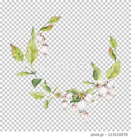Blueberry white pink bell flower and bud with green leaves on branches, hand drawn in watercolor, wildflower botanical illustration. Isolated wreath frame, for wedding, florist shop, scrapbooking 121010876