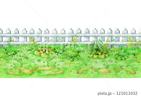 Green grass background with white fence on white background. Hand drawn watercolor illustration. Lush grassy ground countryside meadow landscape element. Various plants growing on the ground 121011032
