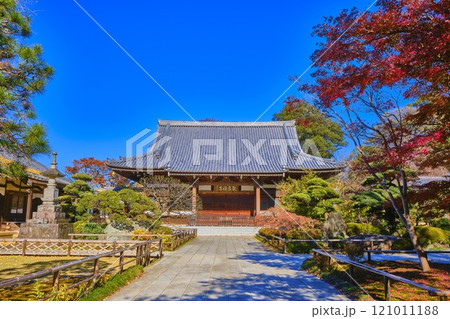 紅葉の名所　東京都杉並区　観泉寺　本堂 121011188