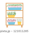 Hand drawn microgreens in pots. Vector illustration in flat style isolated on white background. Micro green. Beets, lettuce, cabbage, sorrel, onion, radish, arugula, peas. Growing superfood at home. 121011285