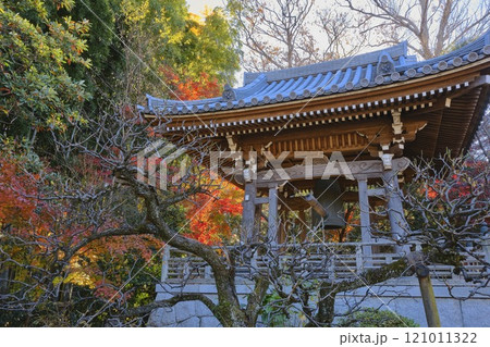 紅葉の名所 東京都杉並区 観泉寺 鐘撞堂 紅葉の名所 東京都杉並区 観泉寺 鐘撞堂 121011322