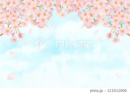 手描きの水彩画:爽やかな青空と桜の背景 枝と蕾付き 手描きの水彩画:爽やかな青空と桜の背景 枝と蕾付き 121012000