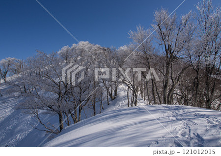 冬の医王山 冬の医王山 121012015