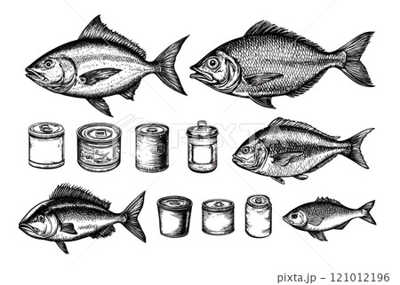Engraving fish and canned food. Salmon and perch ocean fresh preserved meat, cookery seafood tasty nutritious eatery meal, isolated monochrome vector on white backdrop Engraving fish and canned food. Salmon and perch ocean fresh preserved meat, cookery seafood tasty nutritious eatery meal, isolated monochrome vector on white backdrop 121012196