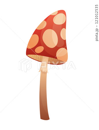 Fairytale house. Cartoon fairy house in form of mushroom. Vector illustration on white background Fairytale house. Cartoon fairy house in form of mushroom. Vector illustration on white background 121012535